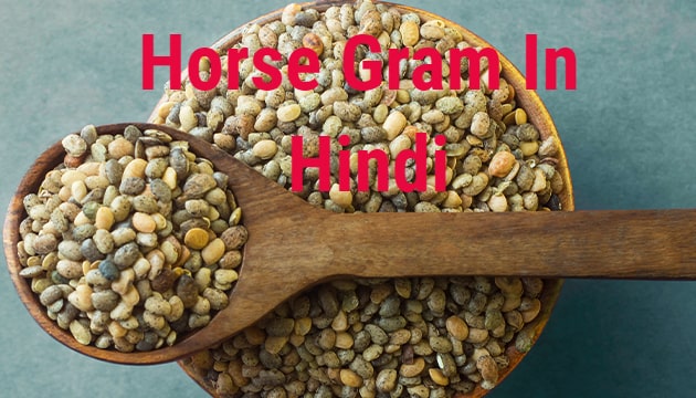 What Is Horse Gram Dal Called In Hindi