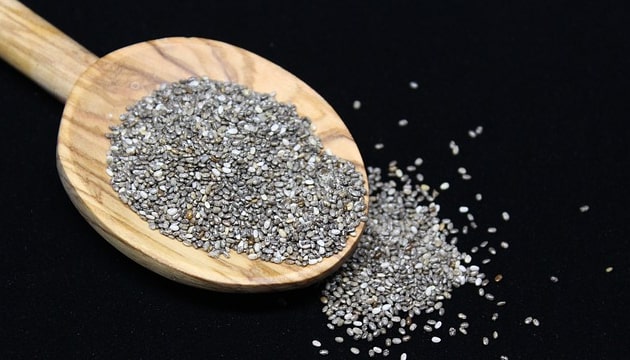 Benefits of Chia Seeds in Hindi)