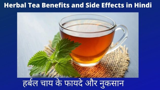 Herbal Tea Benefits and Side Effects in Hindi